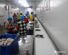 歡樂(lè)愛(ài)家工廠開(kāi)放日 家政服務(wù)的匠心之旅